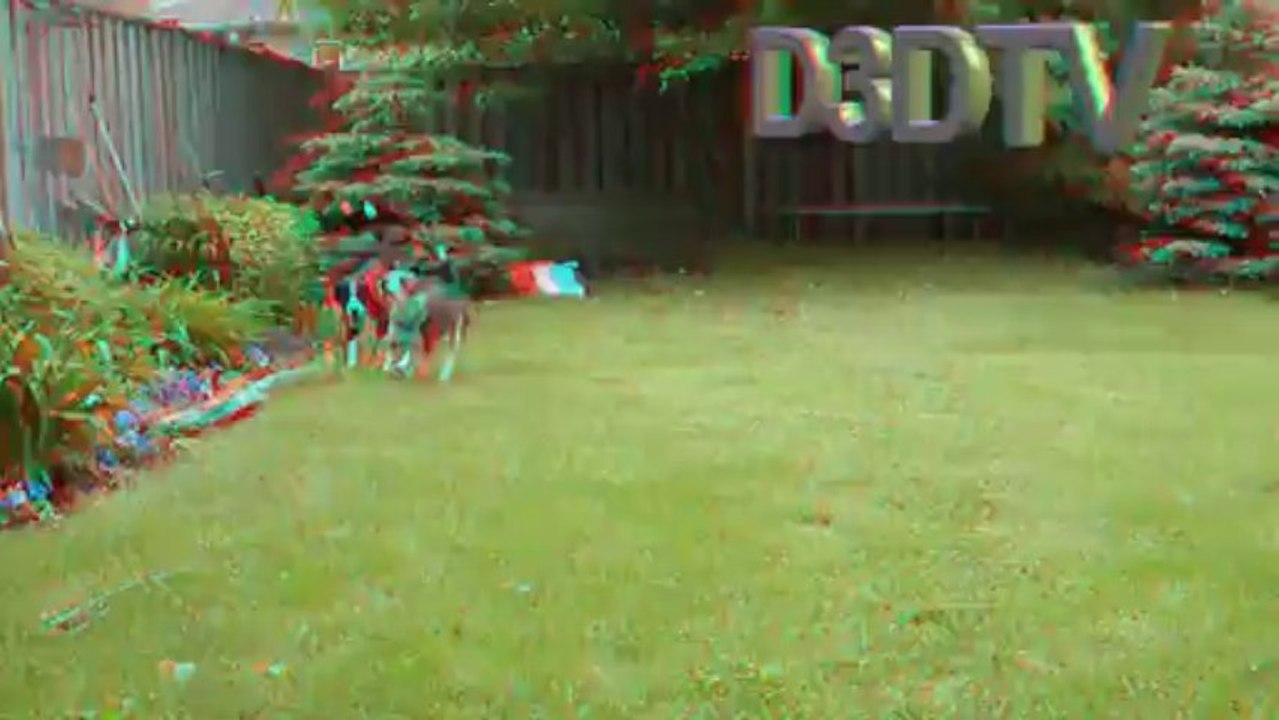 DURHAM 3D TV