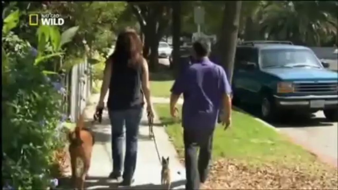 Cesar Millan S01 Ep10a D