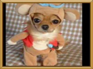 신촌안마선택-잠실안마추천-구월동안마좋은곳-해운대안마