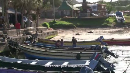 Episode 27 - L'île de Pâques  -