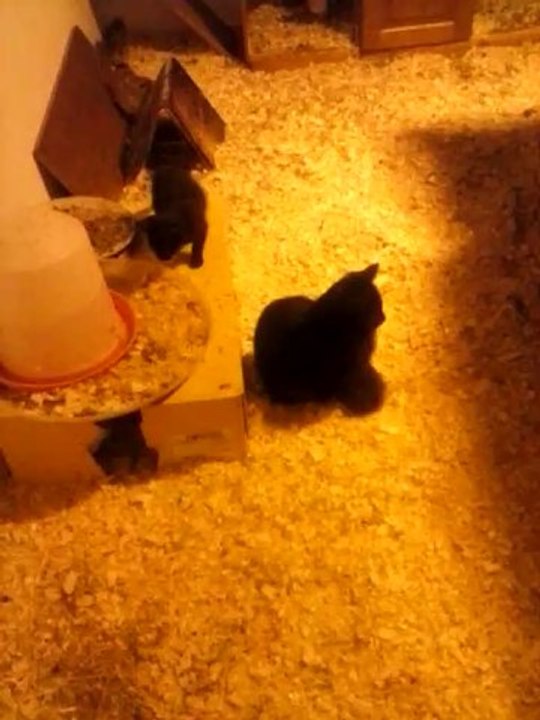 Le secret de l'Immortalité et de la fontaine de Jouvence enfin révélé !