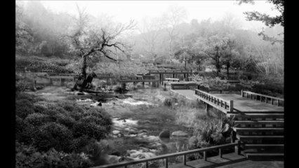 Suat    Sayın     -   Bu sana son mektubum