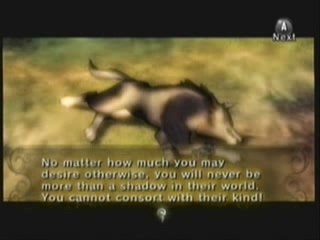 Zelda TP - The Twilight King