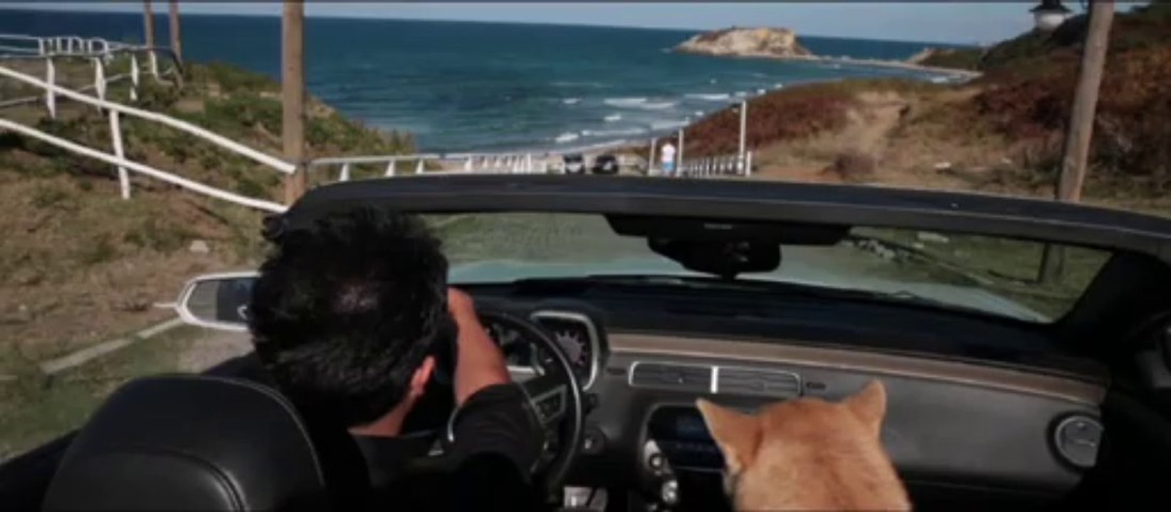 Yusuf Güney - Ördü Kader Ağlarını