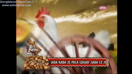 Kaca & Boris Pregled dana !