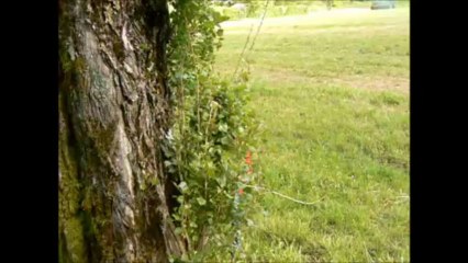 Les aventures de Joris - saison 4, teaser 04