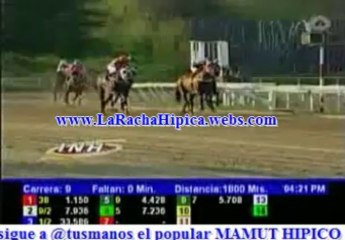 RESUMEN LA RINCONADA SABADO 16 DE NOVIEMBRE DEL 2013