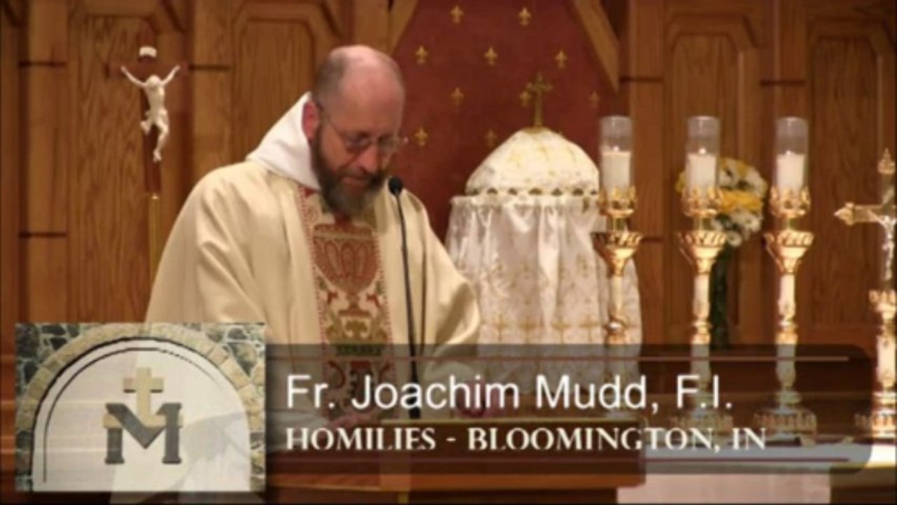 Nov 20 - Homily: Gifts and Responsibility