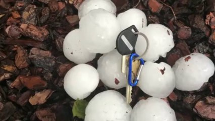 Descargar video: Des grêlons géants pendant un orage violent en Australie.