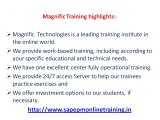 sap bibw trainers in online@magnifictraining&placements