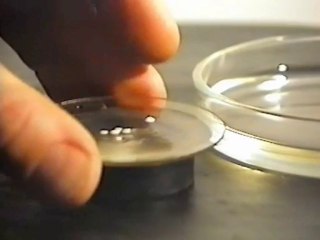 079 Замерзание кипящей воды