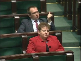 Romuald Ajchler - wystąpienie z 20 listopada 2013 r.