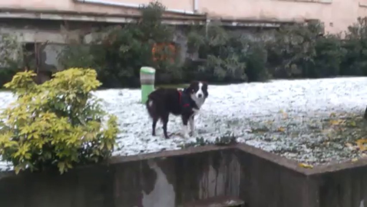 Première "neige" d'Islay