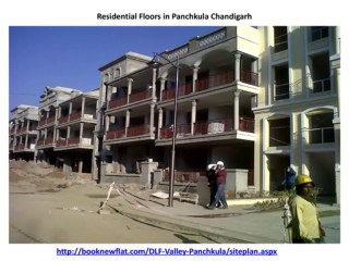 floors_and_plots_in_panchkula