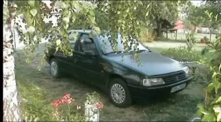 Peugeot 405 GL 1.6 05_1991