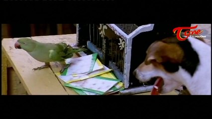 Godavari Comedy Scene | Dog Chit Chat With Parrot
