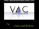 Cats and kittens (Charlie Rich-Everything I do is wrong) B&W VAC
