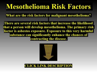 Mesothelioma Risk Factors