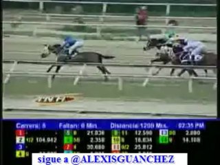 larinconada 5  carrera Domingo 17 de Noviembre del 2013