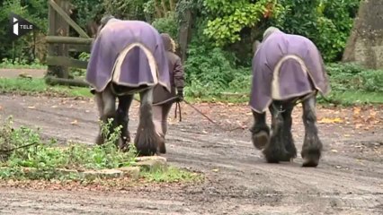 Alexandre, agriculteur, "on est largués aujourd'hui"