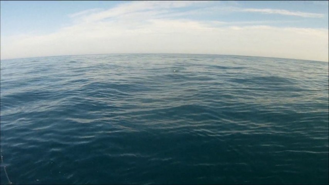 Chandelle de Thon - pêche au lancer sur chasse - attaques en direct - loupés