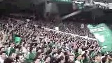 Panathinaikos PAO_ole