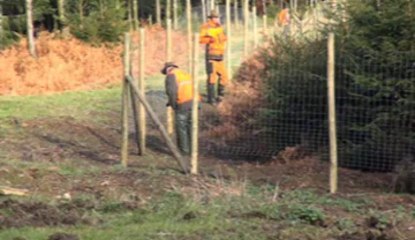clôture forestière inutile
