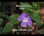 Musa Gelici - Çağrı - http___www.hakweb.com