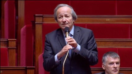 Schwartzenberg : "J'ai vu beaucoup de choses dans cette assemblée, celle-là est dans les plus hauts niveaux de l'insolite"