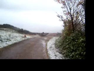 lo Sami del matin 21 de nov de 2013 Luc part. 02