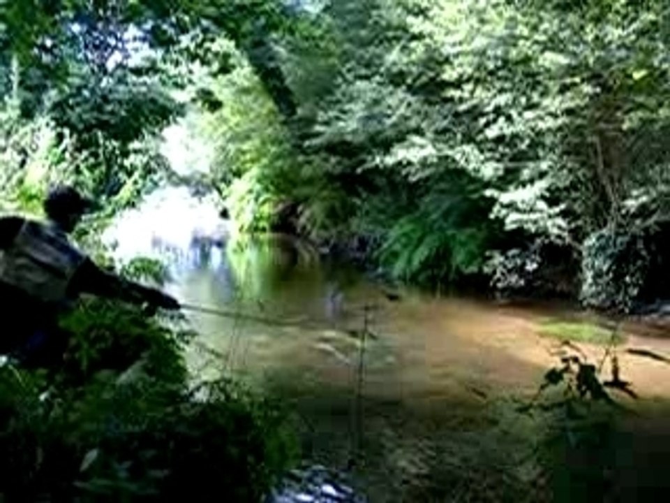 Nymphe à vue en petite rivière