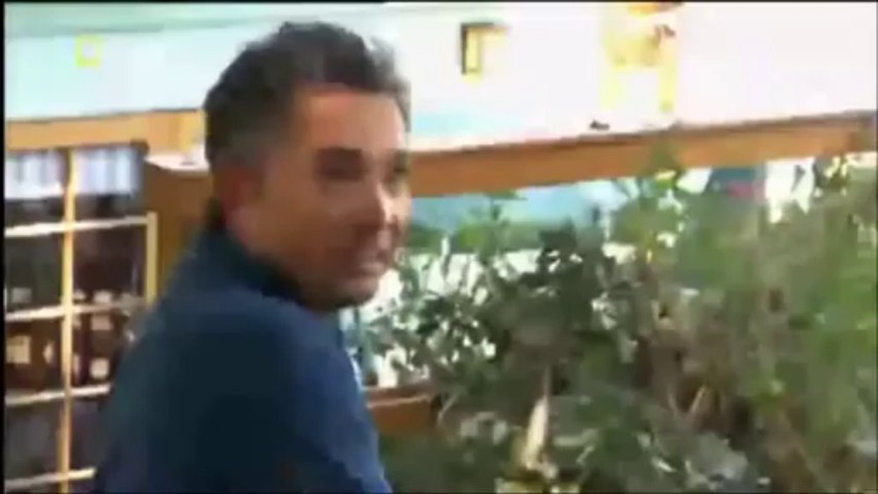 Cesar Millan Sa01 Ep11 D