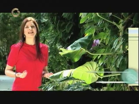 Saber vivir: Desarrollo psicomotor se demuestra en la conducta de los niños