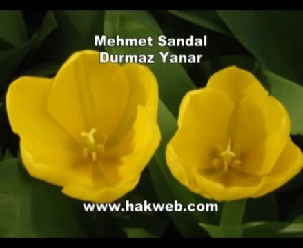 Mehmet Sandal - Durmaz Yanar - http___ hakweb.com