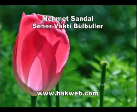 Mehmet Sandal - Seher Vakti Bülbüller - http __ hakweb.com