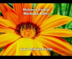 Mehmet Yetkin - Merhaba Bahri - http___www.hakweb.com