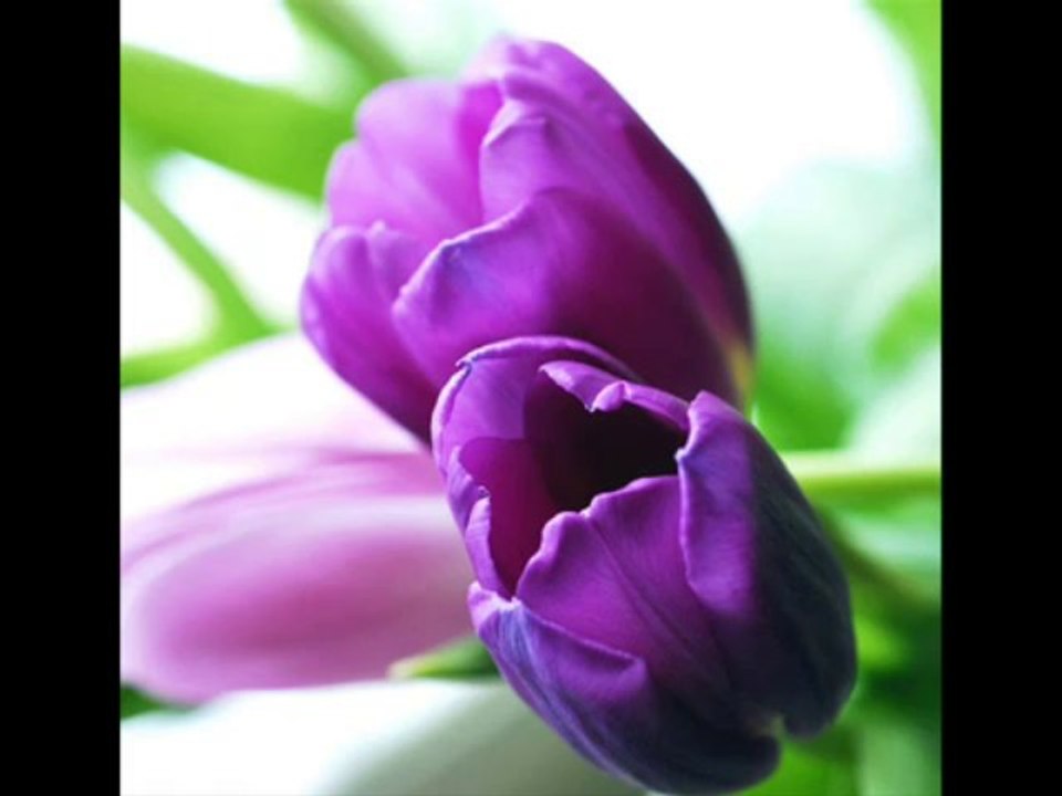 mehmet yetkin yan yüreğim yan