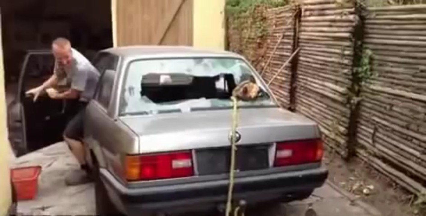 Arbre VS Voiture... l'arbre gagne toujours!