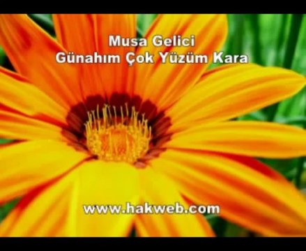 Musa Gelici - Günahım Çok Yüzüm Kara - http __ hakweb.com