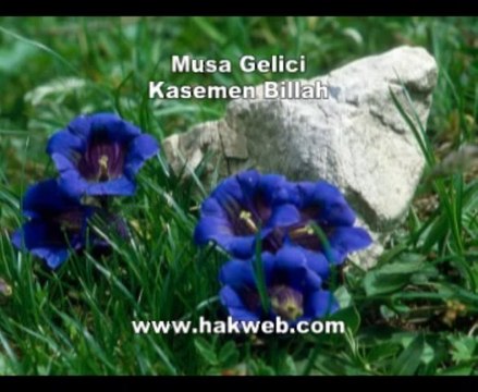 Musa Gelici - Kasemen Billah - http___ hakweb.com