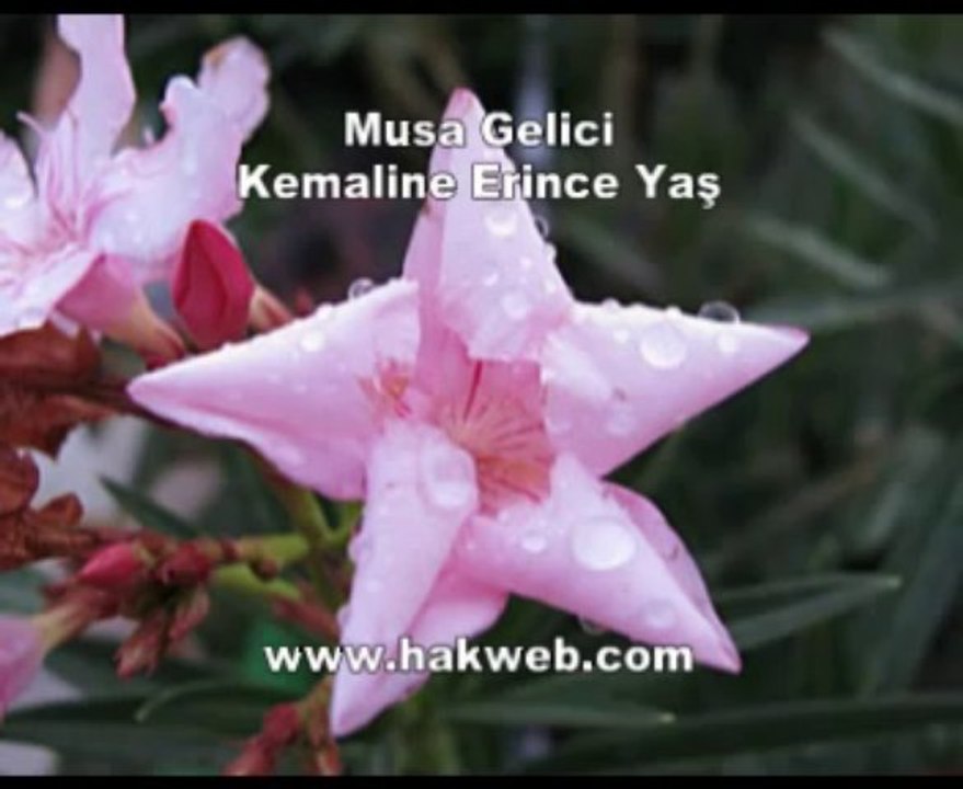 Musa Gelici - Kemaline Erince Yaş - http___www.hakweb.com