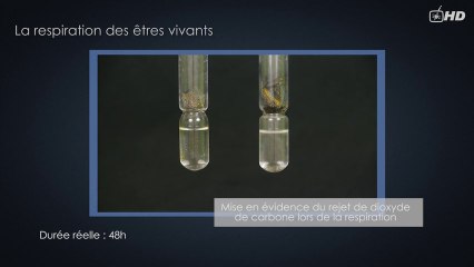 S08E01 - La Composition de l'air