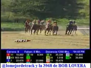 larinconada 8 carrera Domingo 17 de Noviembre del 2013