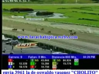 resumen La Rinconada Domingo 17 de Noviembre del 2013