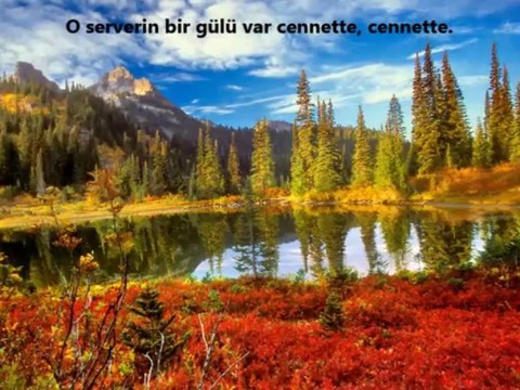 Harika Bir İlahi Eser