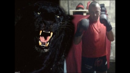 jowan stoks johan stockx  tupac dont with us