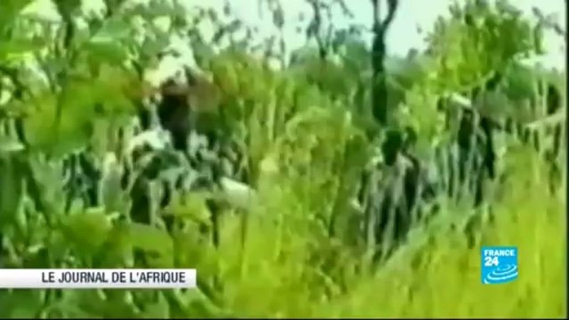 JOURNAL DE L’AFRIQUE - Le docteur congolais Denis Mukwege récompensé pour son travail auprès des femmes violées