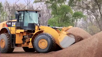 HOLT CAT Longview Wheel Loader (903) 758-6175 Wheel Loader Longview