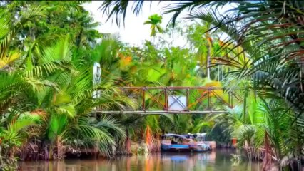 Nhac-Hoa-Tau-Viet-Nam-Hay-Nhat