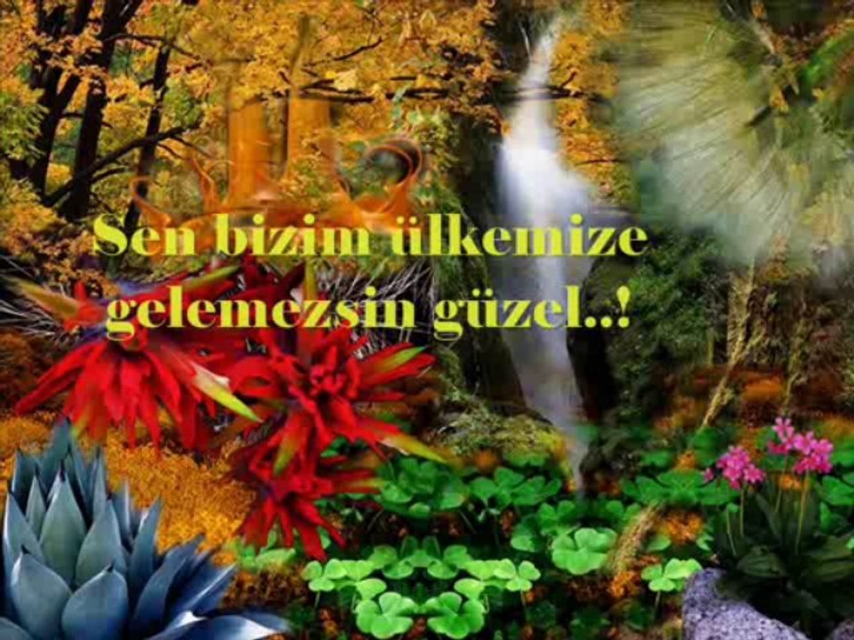 Devran-ı Ahir